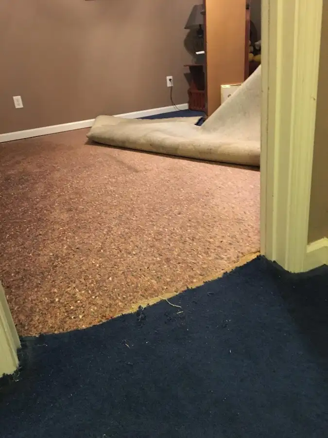 Carpet pad removal revealing water damage during Drying & Dehumidification in Parlier