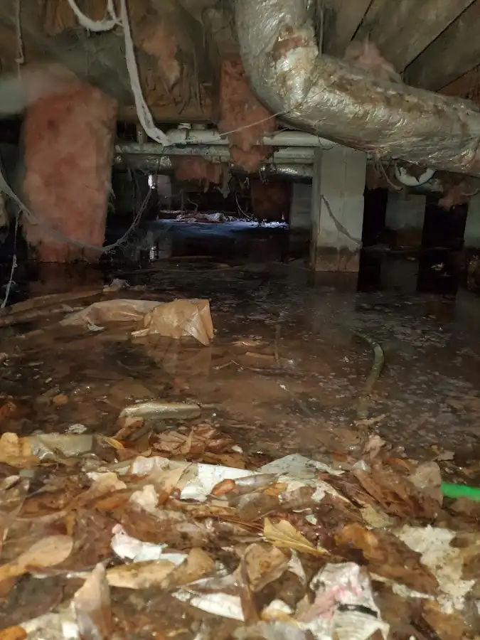 Crawl space flood assessment for Leak Detection & Repair in Parlier